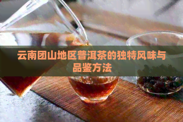 云南团山地区普洱茶的独特风味与品鉴方法