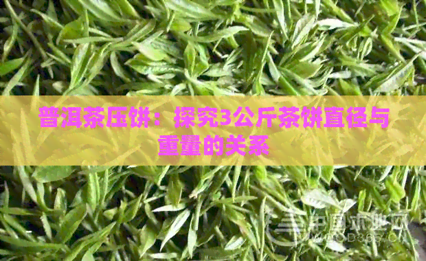 普洱茶压饼：探究3公斤茶饼直径与重量的关系