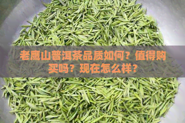 老鹰山普洱茶品质如何？值得购买吗？现在怎么样？