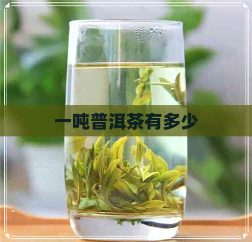 一吨普洱茶有多少