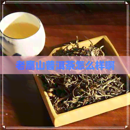 老鹰山普洱茶怎么样啊