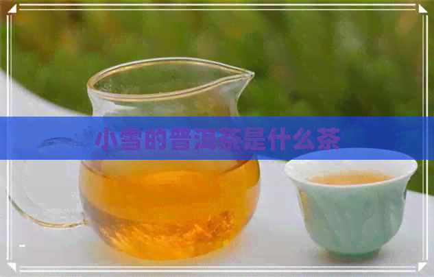 小雪的普洱茶是什么茶