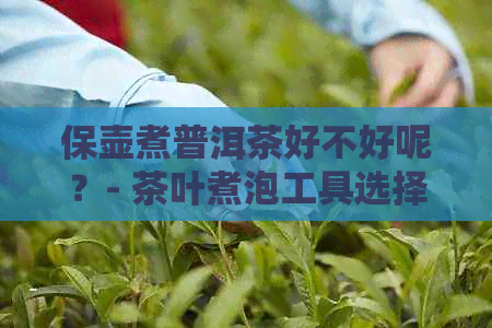 保壶煮普洱茶好不好呢？- 茶叶煮泡工具选择与技巧