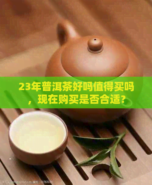 23年普洱茶好吗值得买吗，现在购买是否合适？