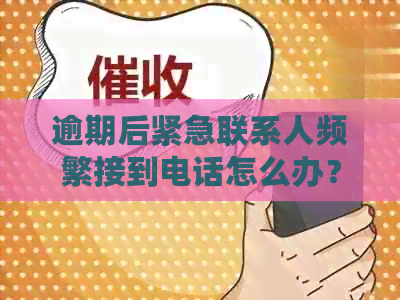 逾期后紧急联系人频繁接到电话怎么办？全面解决相关问题的方法和建议