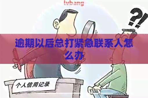 逾期以后总打紧急联系人怎么办