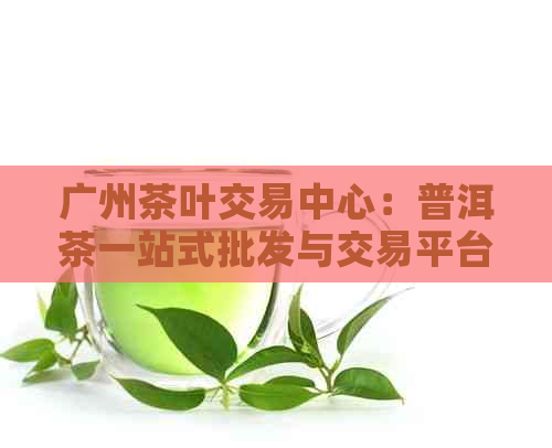 广州茶叶交易中心：普洱茶一站式批发与交易平台