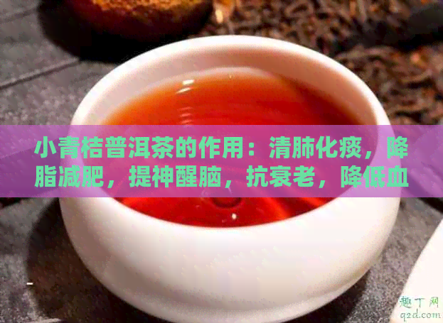 小青桔普洱茶的作用：清肺化痰，降脂减肥，提神醒脑，抗衰老，降低血压等。