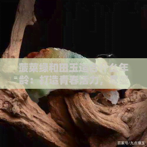 菠菜绿和田玉适合什么年龄：打造青春活力，尽显个性魅力