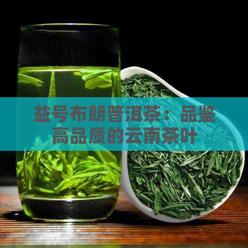 益号布朗普洱茶：品鉴高品质的云南茶叶