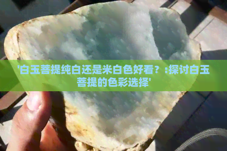 '白玉菩提纯白还是米白色好看？:探讨白玉菩提的色彩选择'