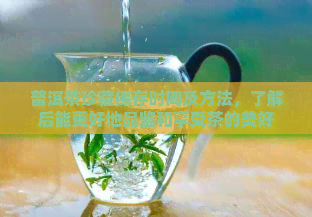 普洱茶珍藏保存时间及方法，了解后能更好地品鉴和享受茶的美好