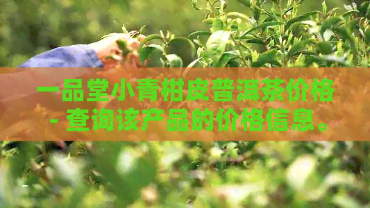 一品堂小青柑皮普洱茶价格 - 查询该产品的价格信息。