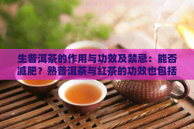 生普洱茶的作用与功效及禁忌：能否减肥？熟普洱茶与红茶的功效也包括在内。