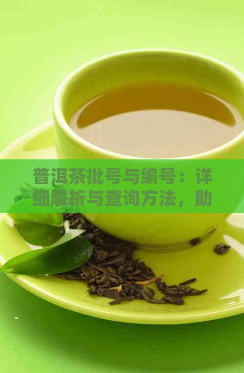 普洱茶批号与编号：详细解析与查询方法，助你轻松辨别正品与劣质茶叶