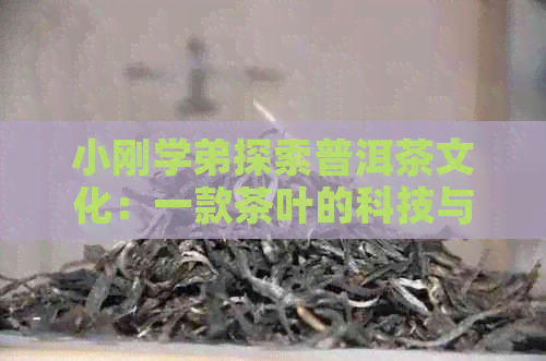 小刚学弟探索普洱茶文化：一款茶叶的科技与传统之美