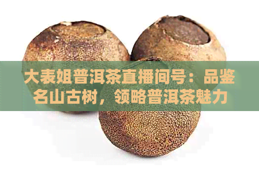 大表姐普洱茶直播间号：品鉴名山古树，领略普洱茶魅力