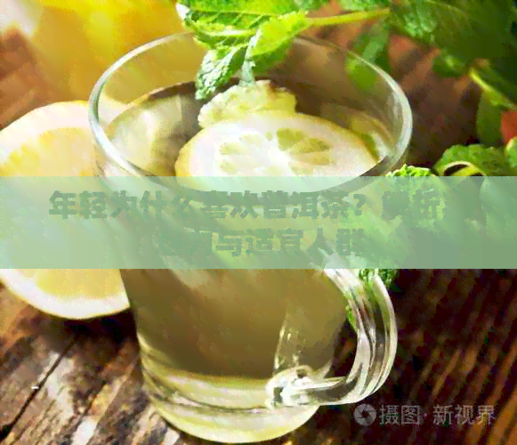 年轻为什么喜欢普洱茶？解析其魅力与适宜人群