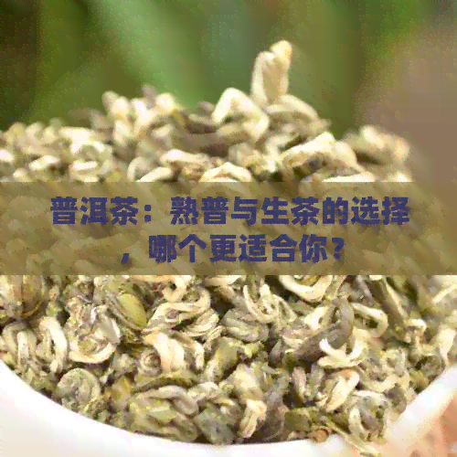 普洱茶：熟普与生茶的选择，哪个更适合你？