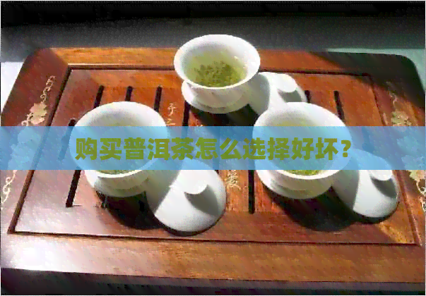 购买普洱茶怎么选择好坏？