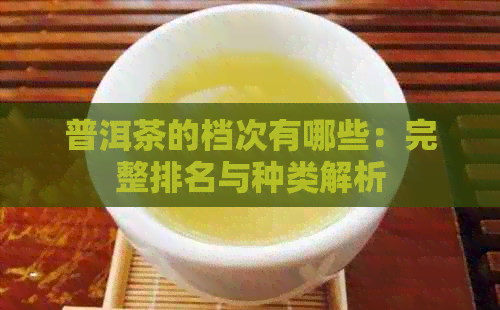 普洱茶的档次有哪些：完整排名与种类解析