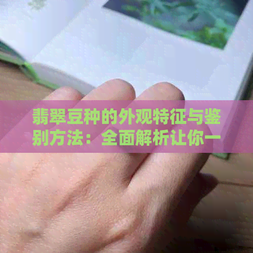 翡翠豆种的外观特征与鉴别方法：全面解析让你一目了然