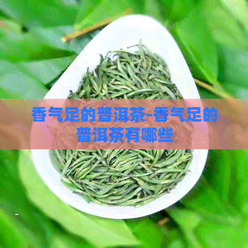 香气足的普洱茶-香气足的普洱茶有哪些