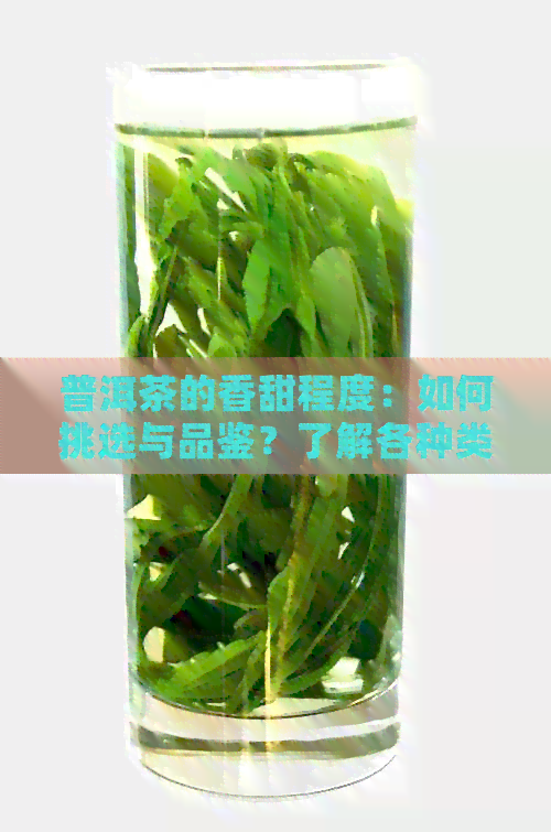 普洱茶的香甜程度：如何挑选与品鉴？了解各种类型和制作工艺的影响