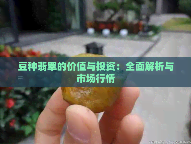 豆种翡翠的价值与投资：全面解析与市场行情