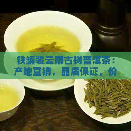 铁罐装云南古树普洱茶：产地直销，品质保证，价格实