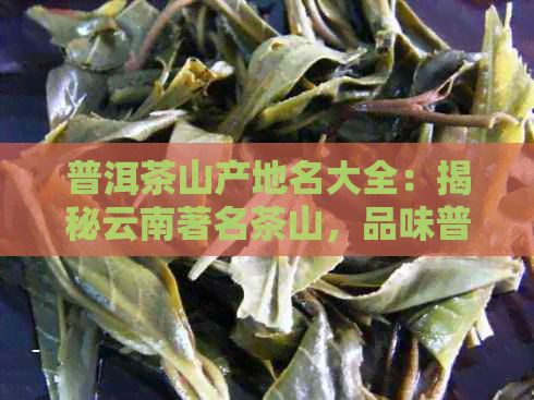 普洱茶山产地名大全：揭秘云南著名茶山，品味普洱茶的魅力！