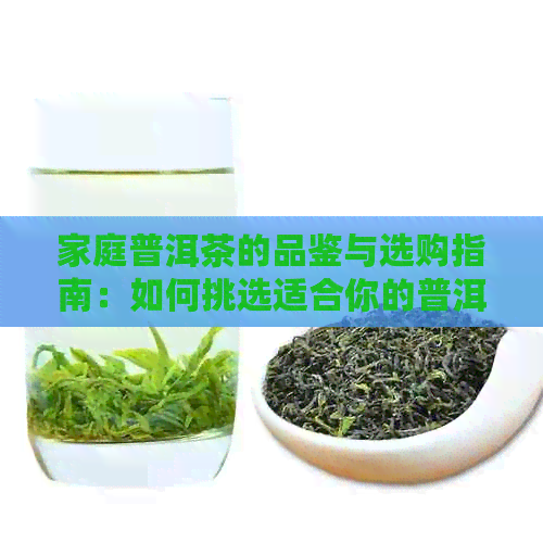 家庭普洱茶的品鉴与选购指南：如何挑选适合你的普洱茶？