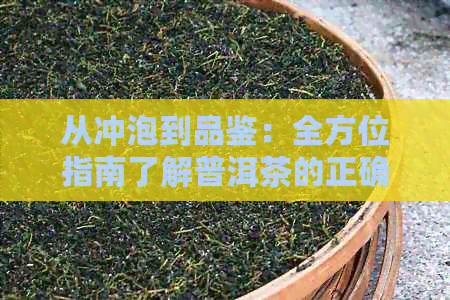 从冲泡到品鉴：全方位指南了解普洱茶的正确饮用方法与体验