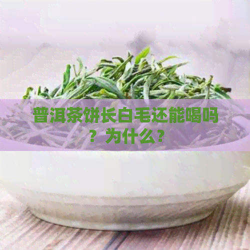 普洱茶饼长白毛还能喝吗？为什么？