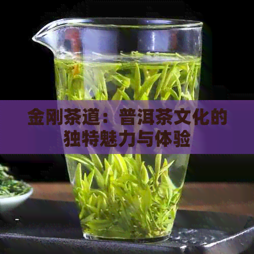 金刚茶道：普洱茶文化的独特魅力与体验