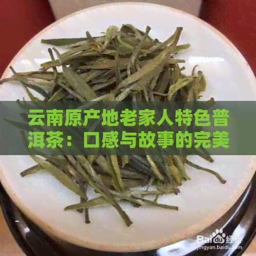 云南原产地老家人特色普洱茶：口感与故事的完美融合