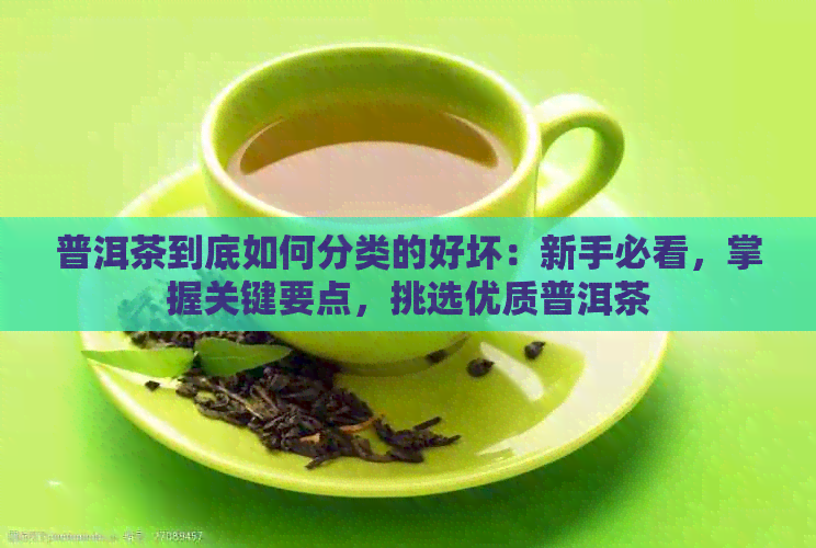 普洱茶到底如何分类的好坏：新手必看，掌握关键要点，挑选优质普洱茶