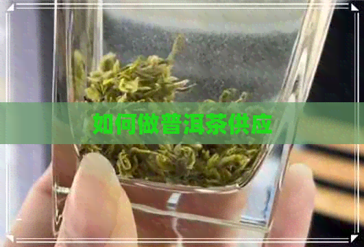 如何做普洱茶供应