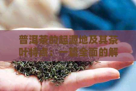 普洱茶的起源地及其茶叶特点：一篇全面的解答