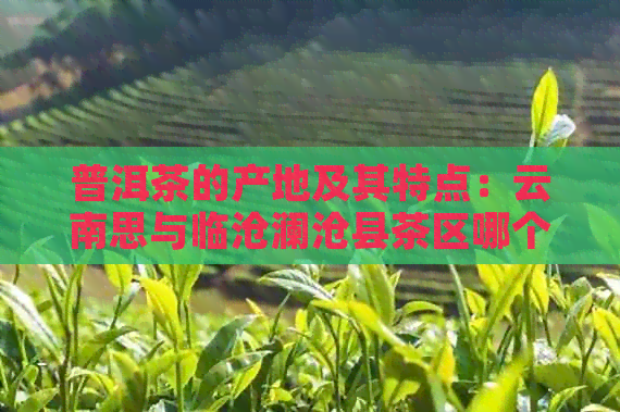 普洱茶的产地及其特点：云南思与临沧澜沧县茶区哪个更正宗？