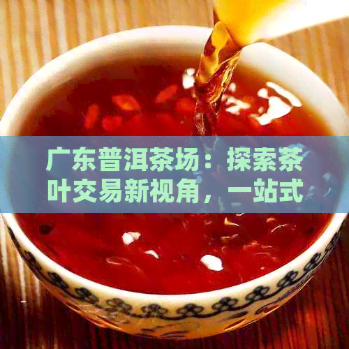 广东普洱茶场：探索茶叶交易新视角，一站式解决采购需求与品质保障