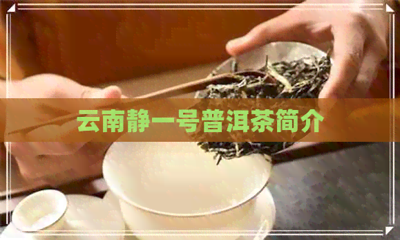 云南静一号普洱茶简介