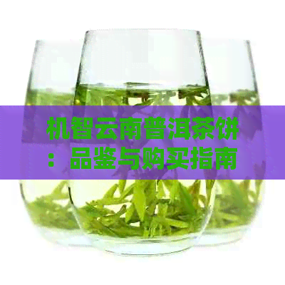 机智云南普洱茶饼：品鉴与购买指南 - 了解如何挑选出优质的普洱茶饼