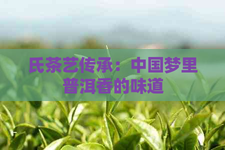 氏茶艺传承：中国梦里普洱香的味道