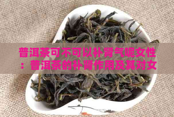 普洱茶可不可以补肾气呢女性：普洱茶的补肾作用及其对女性的影响。