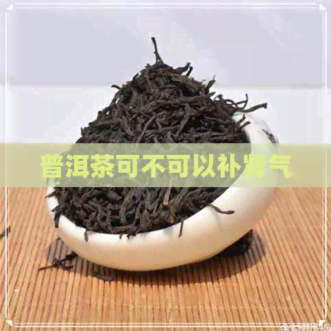 普洱茶可不可以补肾气