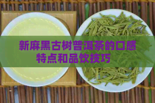 新麻黑古树普洱茶的口感特点和品饮技巧   