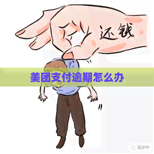 美团支付逾期怎么办