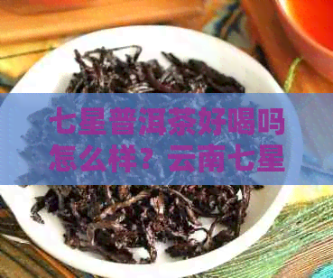 七星普洱茶好喝吗怎么样？云南七星普洱茶详解，价格及品鉴分享