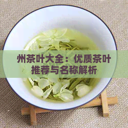 州茶叶大全：优质茶叶推荐与名称解析